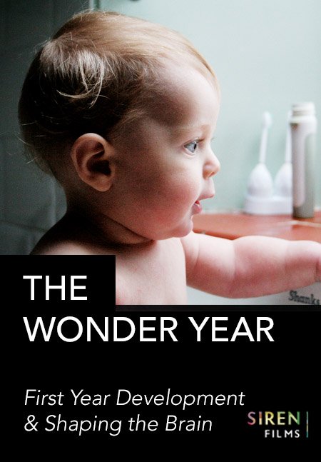 This image shows a profile of a baby gazing out with the text "THE WONDER YEAR - First Year Development & Shaping the Brain" indicating an educational theme.