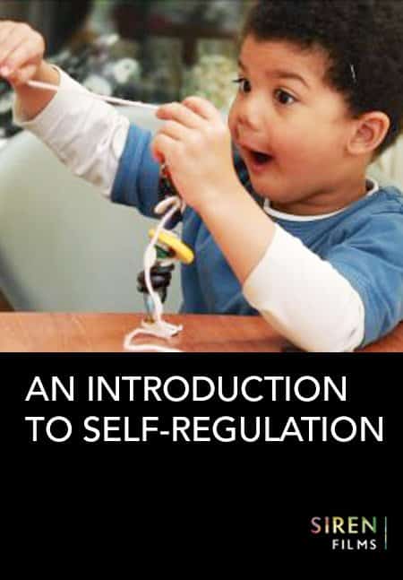 An Introduction to Self-regulation